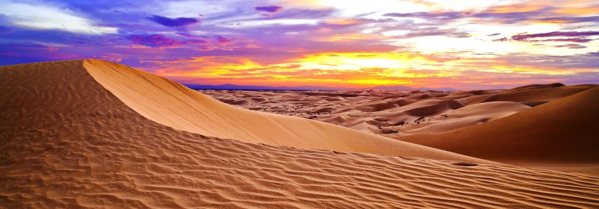 algeria-deserto