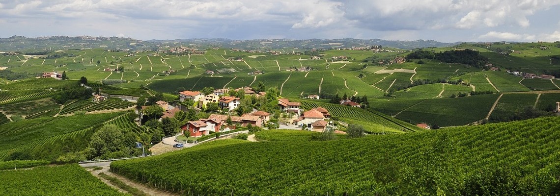 langhe41