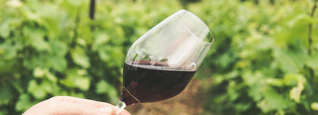 pexels-grape-things-2954924